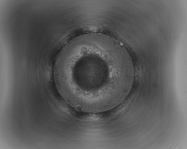 X0000111940656200908031139