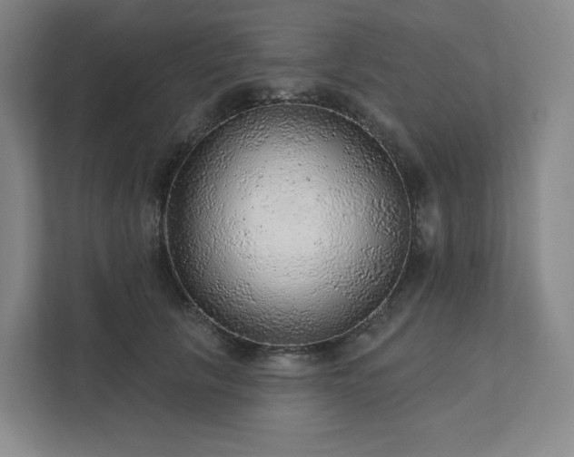 X0000111940657200908031139