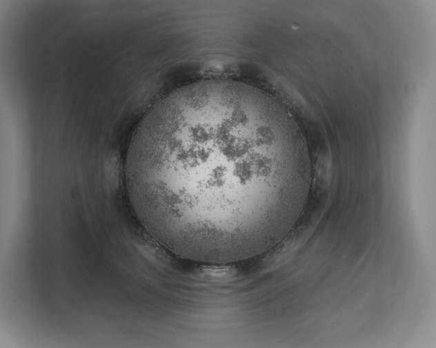 X0000111940659200908031139