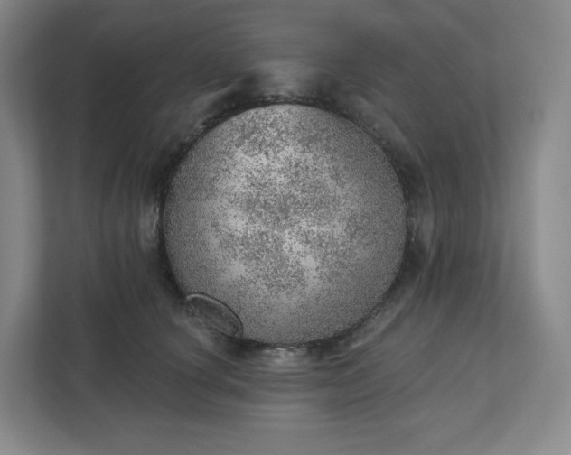 X0000111940660200908031139