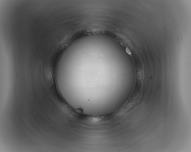 X0000111940662200908031139