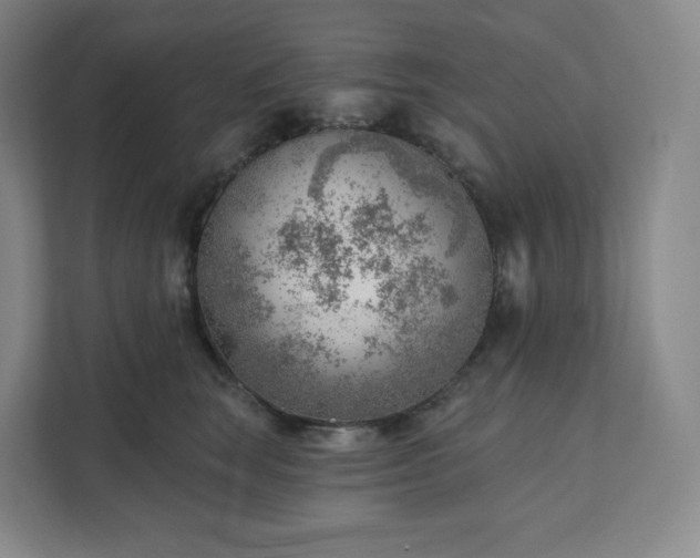 X0000111940663200908031139