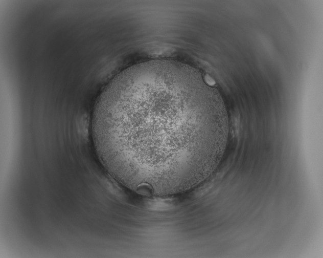 X0000111940664200908031139