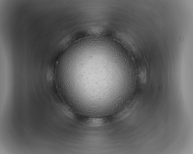 X0000111940665200908031139