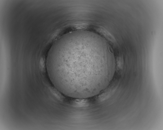 X0000111940667200908031139