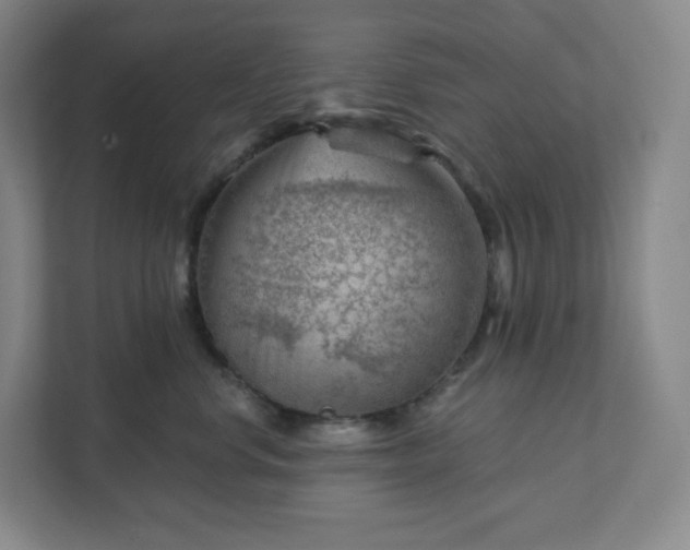 X0000111940668200908031139