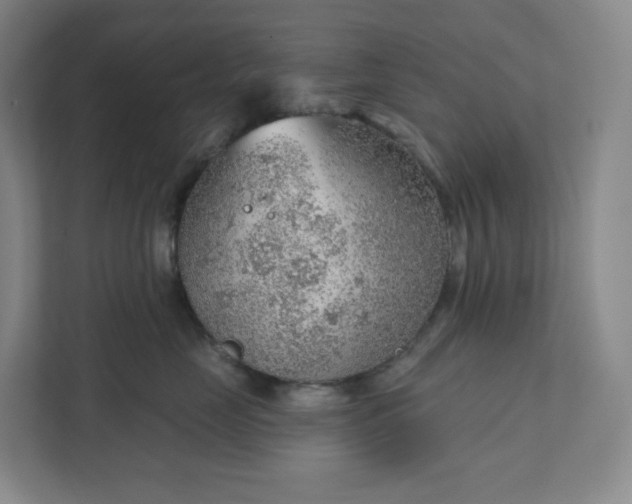 X0000111940669200908031139