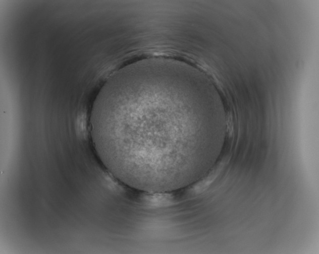 X0000111940670200908031139