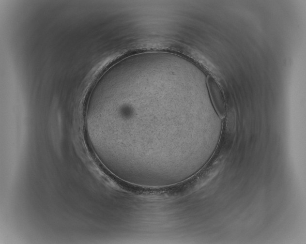 X0000111940673200908031138