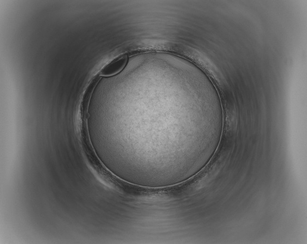 X0000111940674200908031138