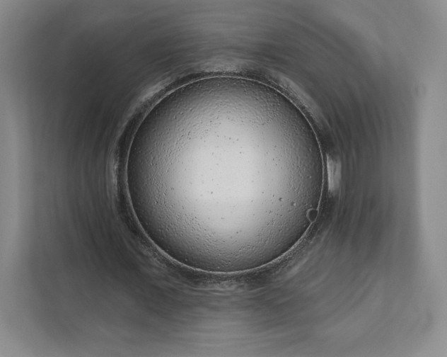 X0000111940675200908031138