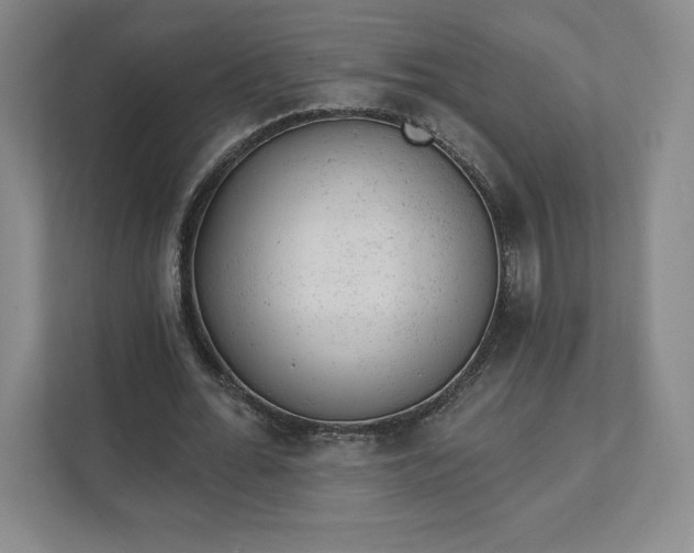 X0000111940676200908031138