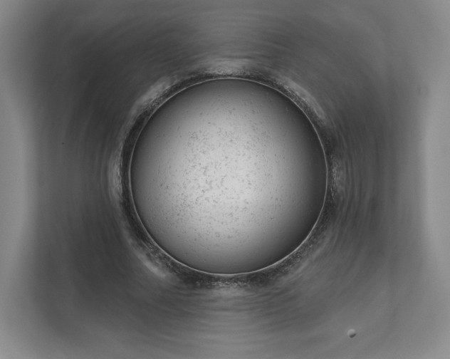 X0000111940682200908031138