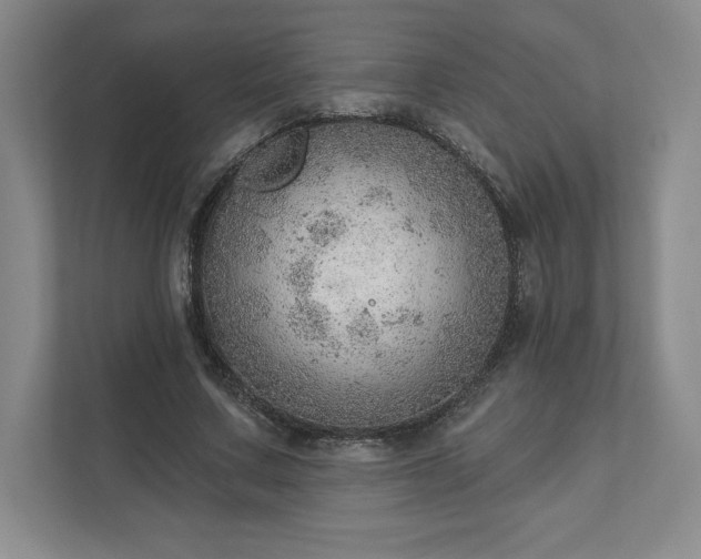 X0000111940683200908031138