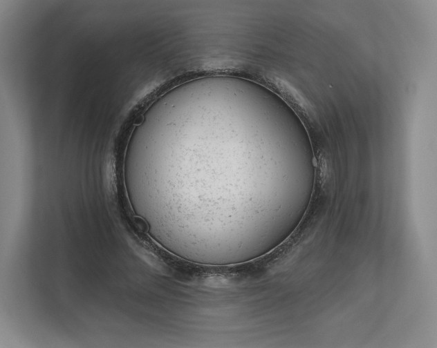 X0000111940684200908031138