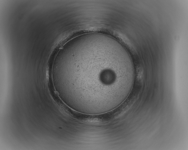 X0000111940685200908031138