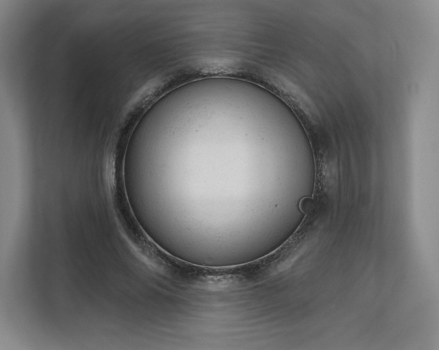 X0000111940686200908031138