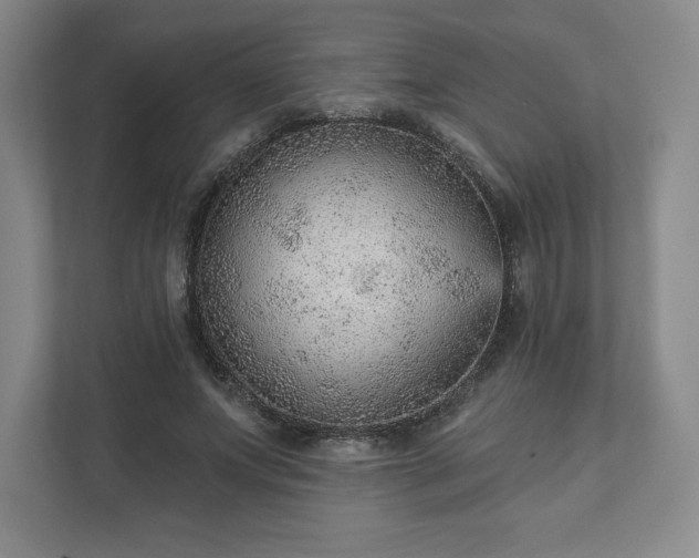 X0000111940687200908031138