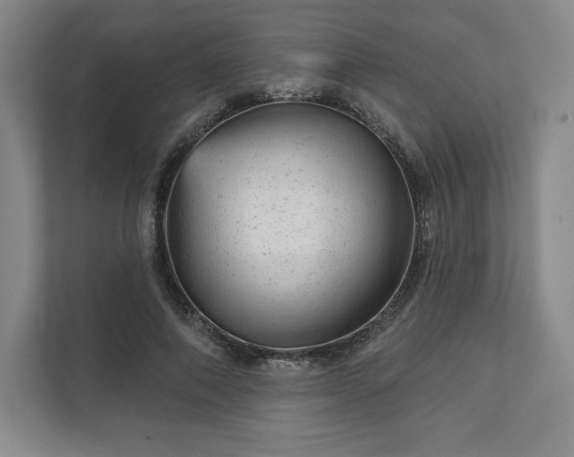 X0000111940690200908031138