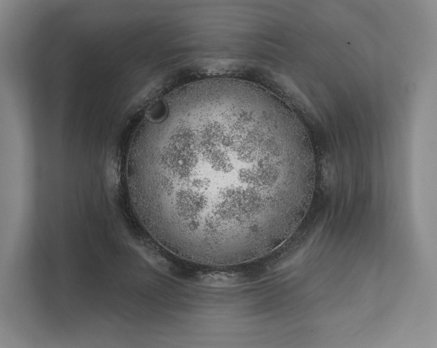 X0000111940691200908031138