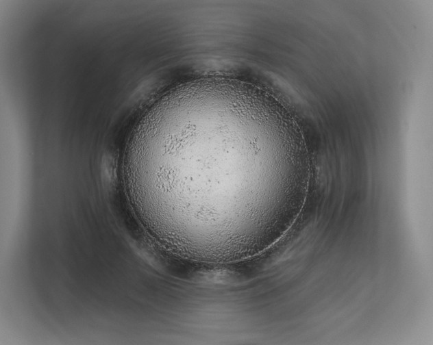 X0000111940695200908031138