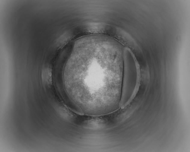 X0000111940696200908031138