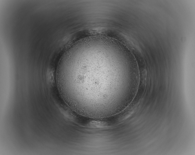 X0000111940699200908031138