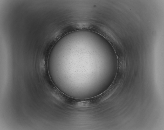 X0000111940700200908031138