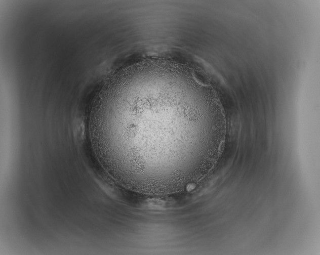 X0000111940703200908031138