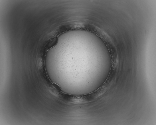 X0000111940704200908031138