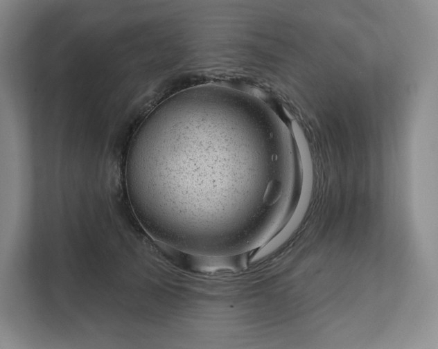 X0000111940705200908031138