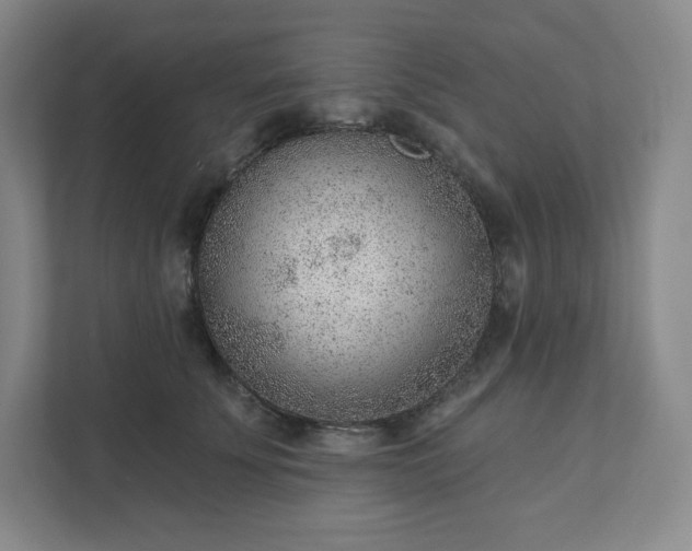 X0000111940707200908031138