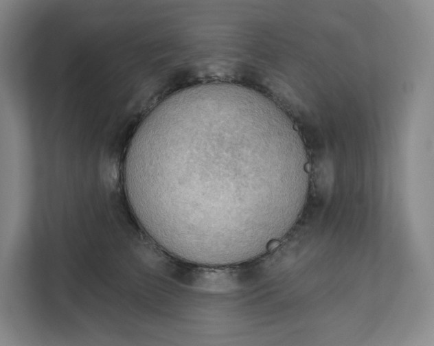 X0000111940709200908031138