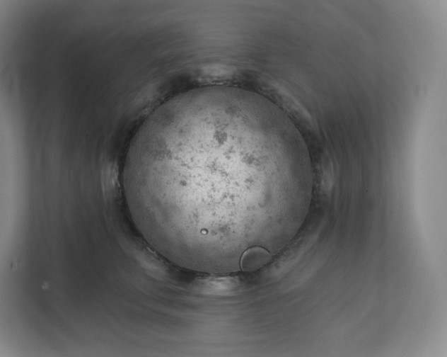 X0000111940711200908031138