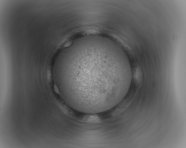 X0000111940715200908031138