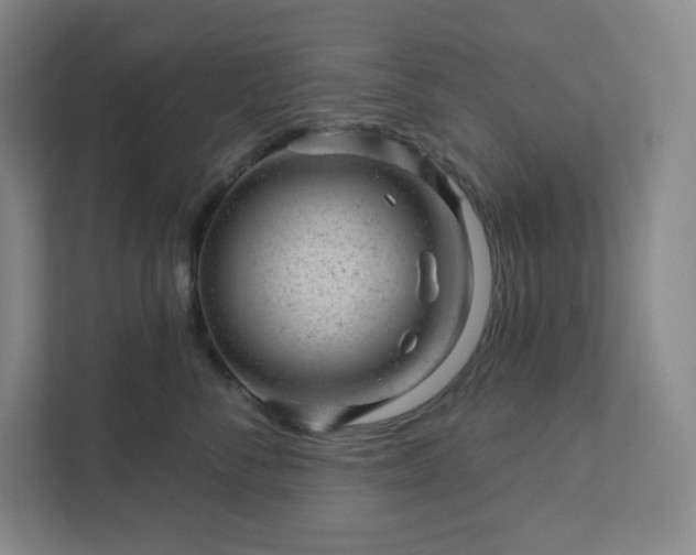 X0000111940716200908031138