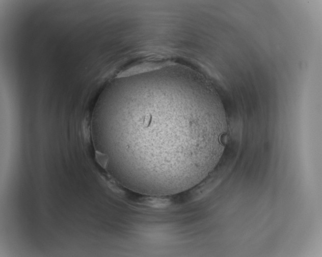 X0000111940719200908031138