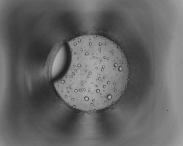 X0000111940720200908031138