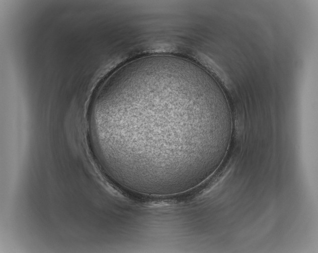 X0000111940721200908031137