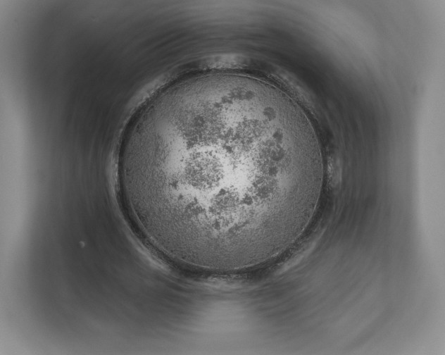 X0000111940725200908031137