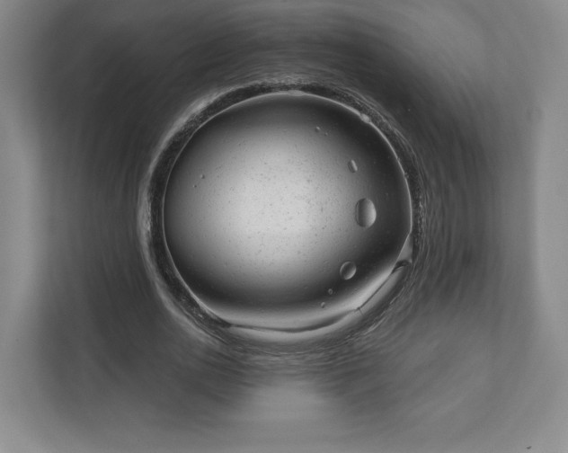 X0000111940726200908031137