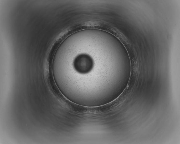 X0000111940727200908031137