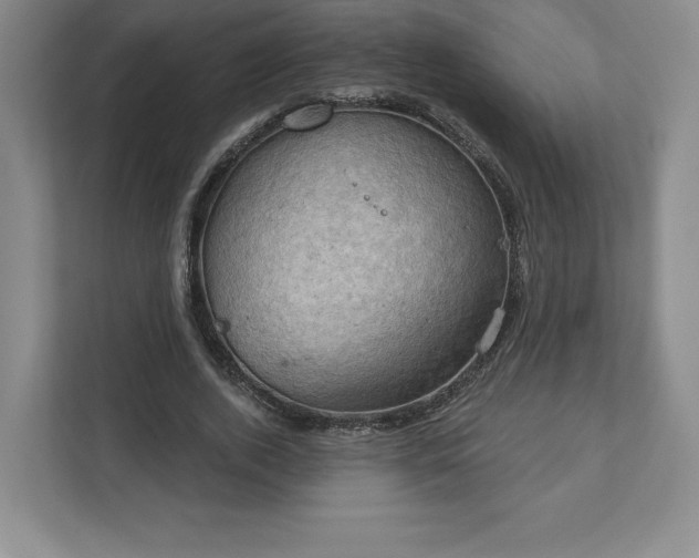 X0000111940728200908031137