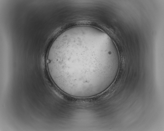 X0000111940729200908031137