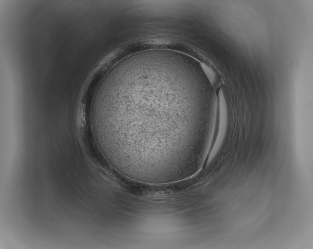 X0000111940731200908031137