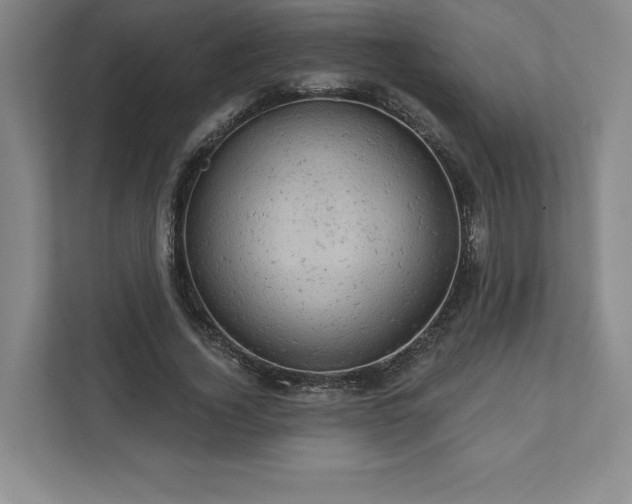 X0000111940732200908031137