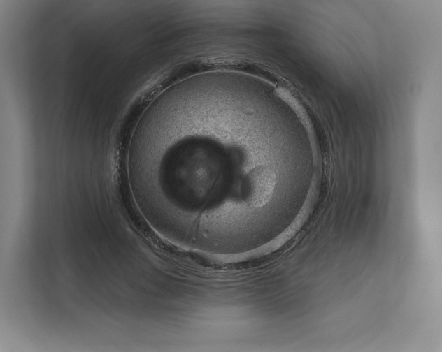 X0000111940735200908031137