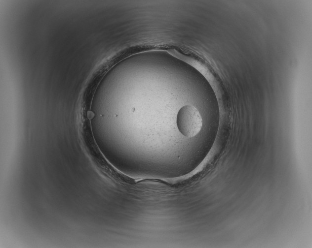 X0000111940736200908031137