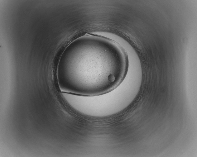 X0000111940740200908031137