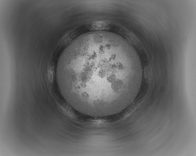 X0000111940741200908031138